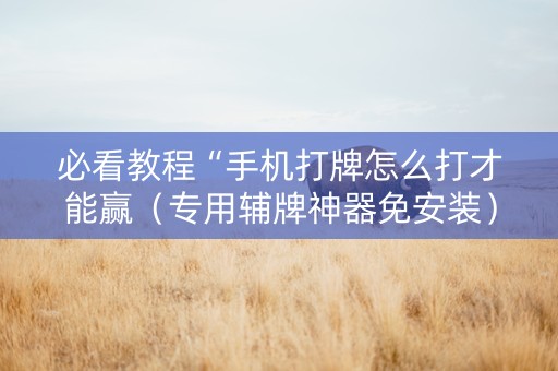 必看教程“手机打牌怎么打才能赢（专用辅牌神器免安装）