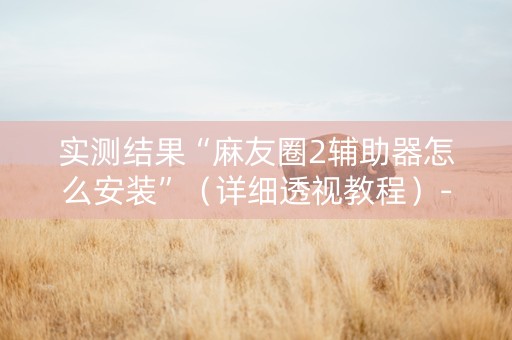 实测结果“麻友圈2辅助器怎么安装”（详细透视教程）-哔哩哔哩