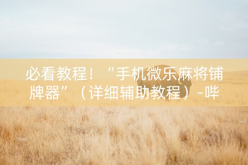 必看教程！“手机微乐麻将铺牌器”（详细辅助教程）-哔哩哔哩
