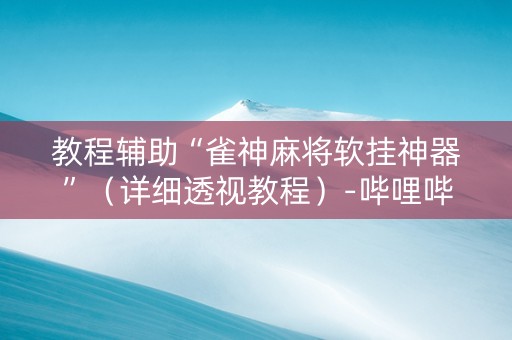 教程辅助“雀神麻将软挂神器”（详细透视教程）-哔哩哔哩