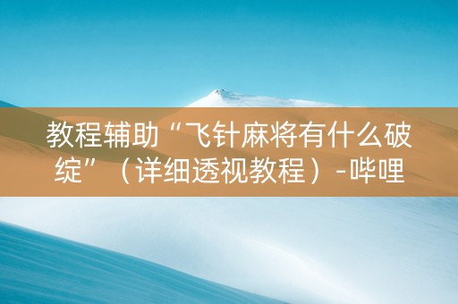 教程辅助“飞针麻将有什么破绽”（详细透视教程）-哔哩哔哩