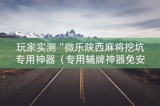 玩家实测“微乐陕西麻将挖坑专用神器（专用辅牌神器免安装）