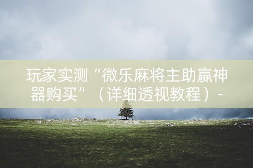 玩家实测“微乐麻将主助赢神器购买”（详细透视教程）-哔哩哔哩