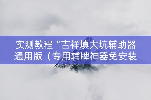 实测教程“吉祥填大坑辅助器通用版（专用辅牌神器免安装）