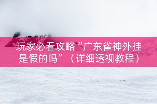 玩家必看攻略“广东雀神外挂是假的吗”（详细透视教程）-哔哩哔哩