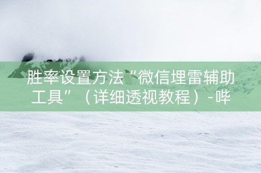 胜率设置方法“微信埋雷辅助工具”（详细透视教程）-哔哩哔哩