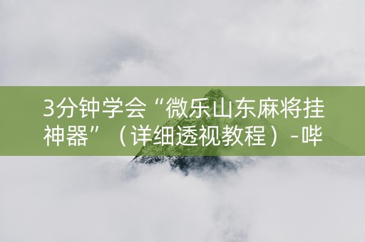 3分钟学会“微乐山东麻将挂神器”（详细透视教程）-哔哩哔哩
