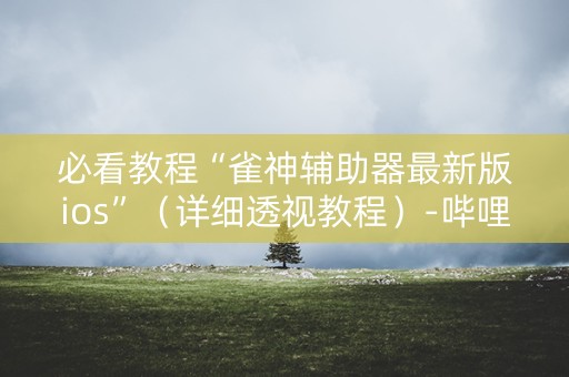 必看教程“雀神辅助器最新版ios”（详细透视教程）-哔哩哔哩