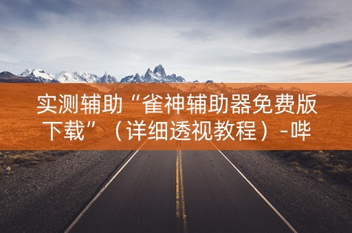 实测辅助“雀神辅助器免费版下载”（详细透视教程）-哔哩哔哩