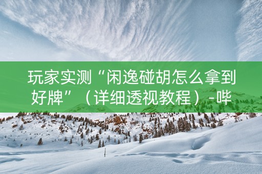 玩家实测“闲逸碰胡怎么拿到好牌”（详细透视教程）-哔哩哔哩