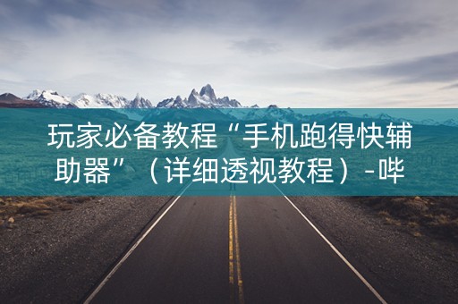 玩家必备教程“手机跑得快辅助器”（详细透视教程）-哔哩哔哩