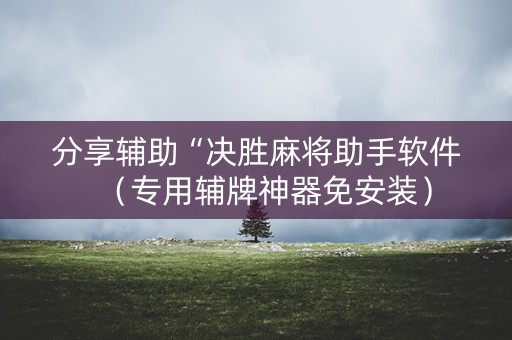 分享辅助“决胜麻将助手软件（专用辅牌神器免安装）