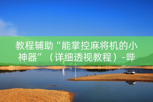 教程辅助“能掌控麻将机的小神器”（详细透视教程）-哔哩哔哩