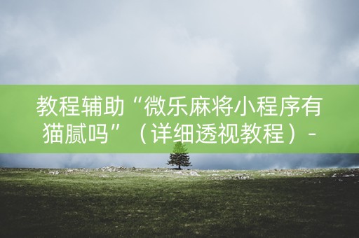 教程辅助“微乐麻将小程序有猫腻吗”（详细透视教程）-哔哩哔哩