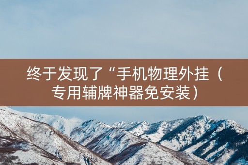 终于发现了“手机物理外挂（专用辅牌神器免安装）