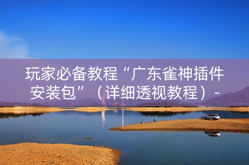玩家必备教程“广东雀神插件安装包”（详细透视教程）-哔哩哔哩