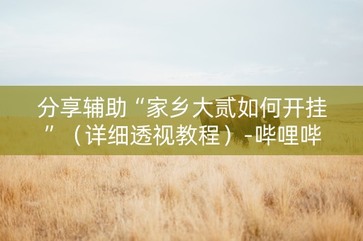 分享辅助“家乡大贰如何开挂”（详细透视教程）-哔哩哔哩