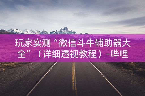 玩家实测“微信斗牛辅助器大全”（详细透视教程）-哔哩哔哩