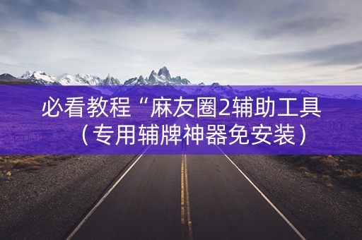 必看教程“麻友圈2辅助工具（专用辅牌神器免安装）
