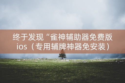终于发现“雀神辅助器免费版ios（专用辅牌神器免安装）