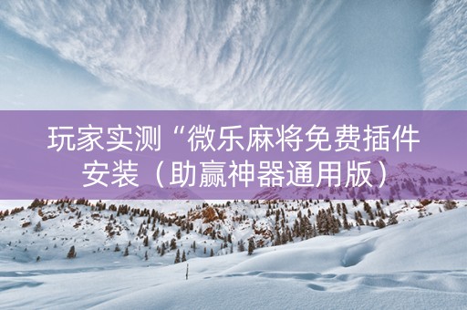 玩家实测“微乐麻将免费插件安装（助赢神器通用版）