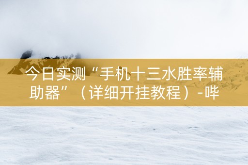 今日实测“手机十三水胜率辅助器”（详细开挂教程）-哔哩哔哩