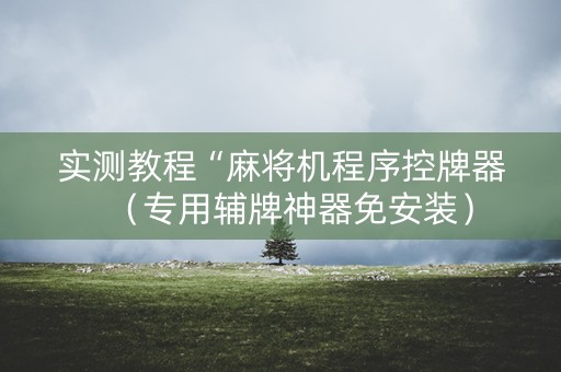 实测教程“麻将机程序控牌器（专用辅牌神器免安装）