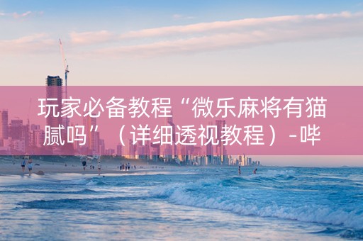 玩家必备教程“微乐麻将有猫腻吗”（详细透视教程）-哔哩哔哩