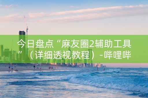 今日盘点“麻友圈2辅助工具”（详细透视教程）-哔哩哔哩