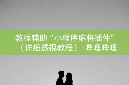 教程辅助“小程序麻将插件”（详细透视教程）-哔哩哔哩