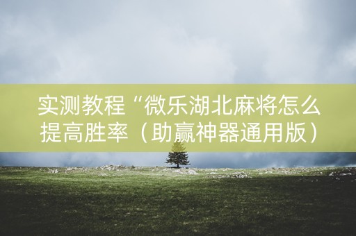 实测教程“微乐湖北麻将怎么提高胜率（助赢神器通用版）