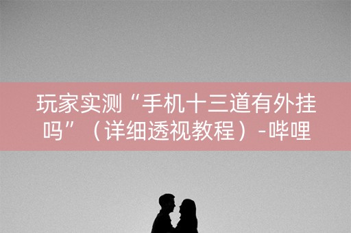 玩家实测“手机十三道有外挂吗”（详细透视教程）-哔哩哔哩