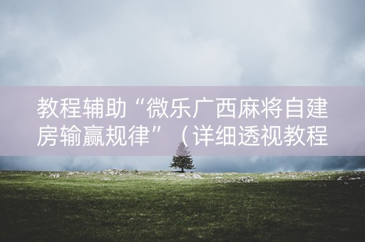 教程辅助“微乐广西麻将自建房输赢规律”（详细透视教程）-哔哩哔哩