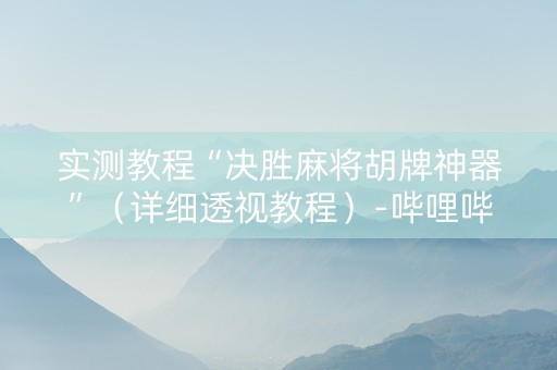实测教程“决胜麻将胡牌神器”（详细透视教程）-哔哩哔哩