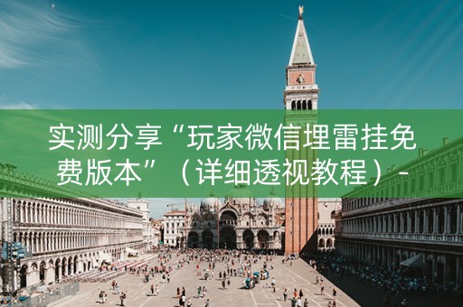 实测分享“玩家微信埋雷挂免费版本”（详细透视教程）-哔哩哔哩