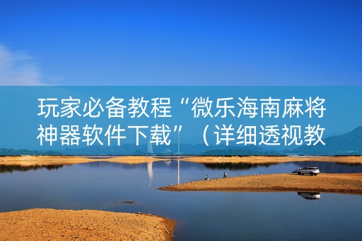 玩家必备教程“微乐海南麻将神器软件下载”（详细透视教程）-哔哩哔哩