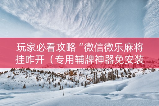 玩家必看攻略“微信微乐麻将挂咋开（专用辅牌神器免安装）