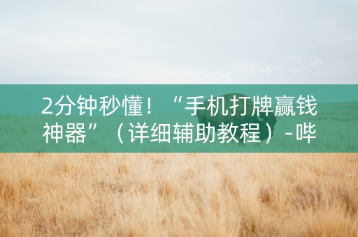 2分钟秒懂！“手机打牌赢钱神器”（详细辅助教程）-哔哩哔哩