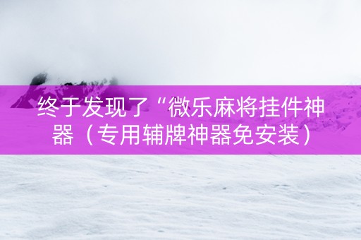 终于发现了“微乐麻将挂件神器（专用辅牌神器免安装）