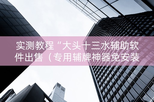 实测教程“大头十三水辅助软件出售（专用辅牌神器免安装）