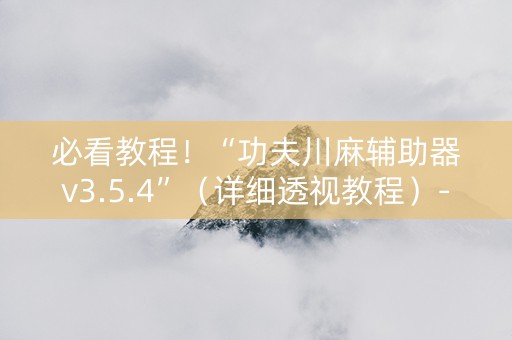 必看教程！“功夫川麻辅助器v3.5.4”（详细透视教程）-哔哩哔哩