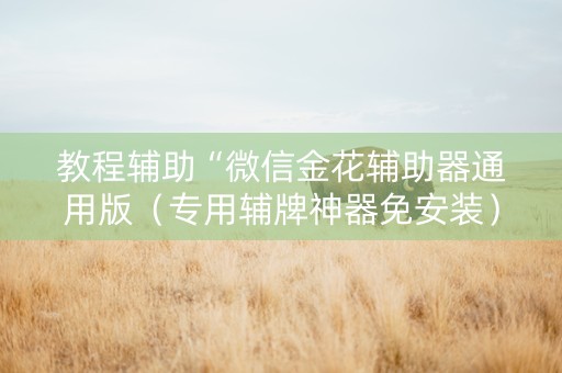 教程辅助“微信金花辅助器通用版（专用辅牌神器免安装）