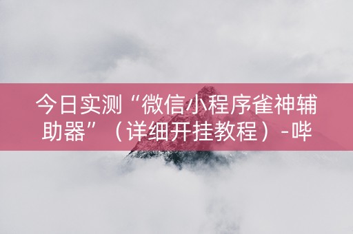 今日实测“微信小程序雀神辅助器”（详细开挂教程）-哔哩哔哩
