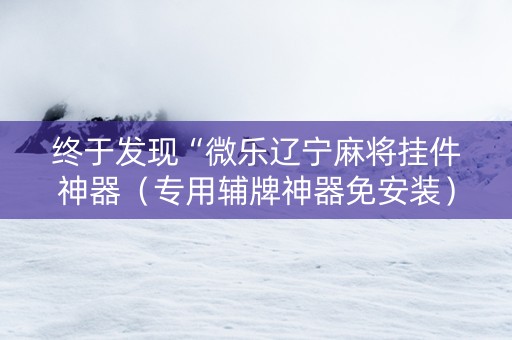 终于发现“微乐辽宁麻将挂件神器（专用辅牌神器免安装）