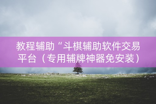 教程辅助“斗棋辅助软件交易平台（专用辅牌神器免安装）