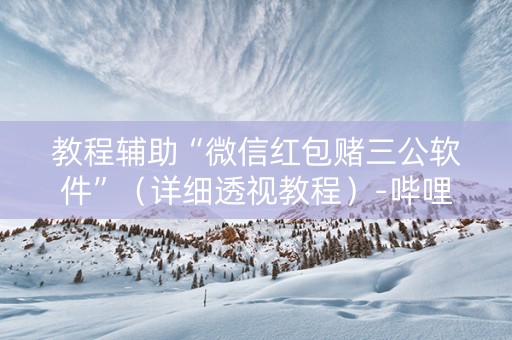 教程辅助“微信红包赌三公软件”（详细透视教程）-哔哩哔哩