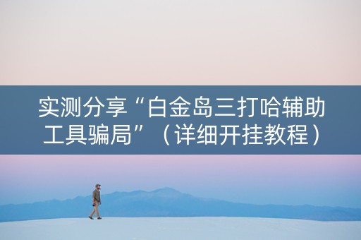 实测分享“白金岛三打哈辅助工具骗局”（详细开挂教程）-哔哩哔哩
