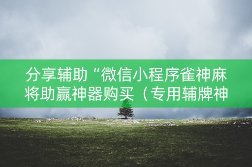 分享辅助“微信小程序雀神麻将助赢神器购买（专用辅牌神器免安装）
