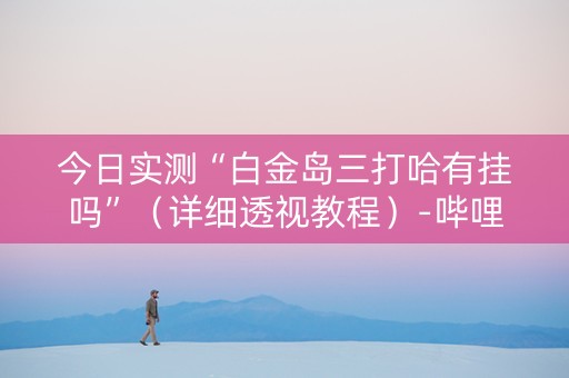 今日实测“白金岛三打哈有挂吗”（详细透视教程）-哔哩哔哩