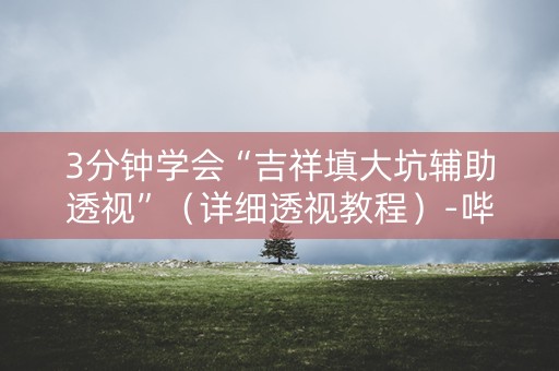 3分钟学会“吉祥填大坑辅助透视”（详细透视教程）-哔哩哔哩